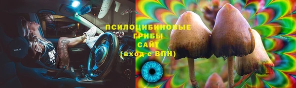амф Кодинск