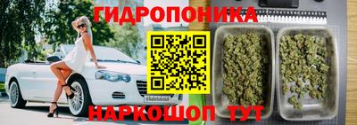 соль ск Кандалакша
