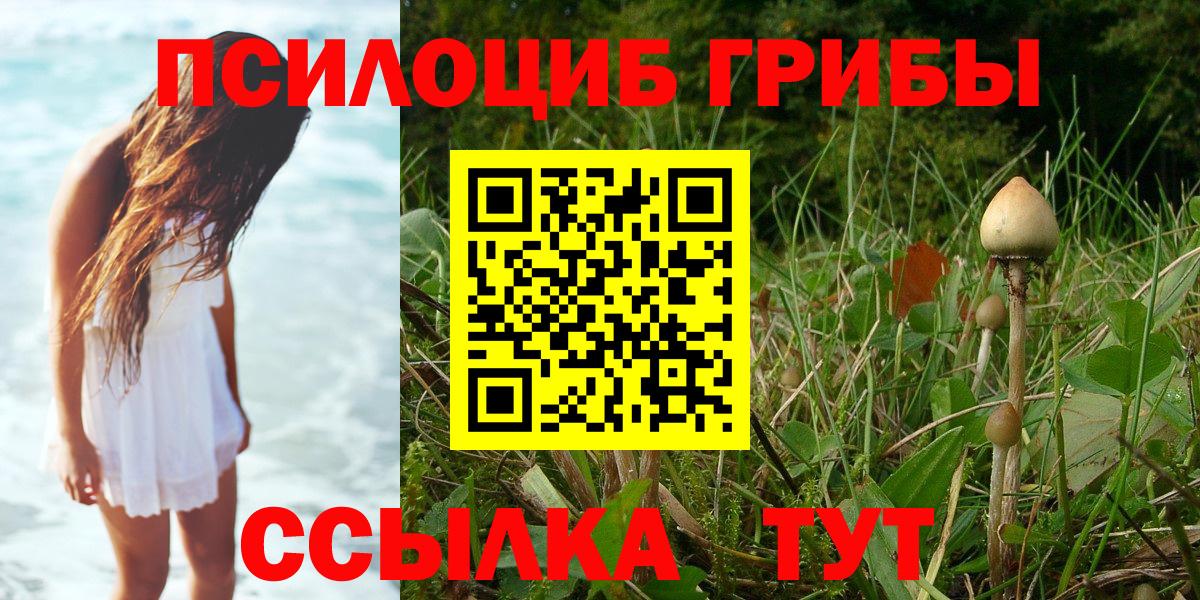 A PVP Ярославль
