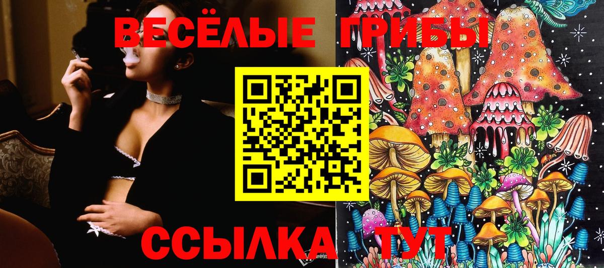 Ярославль  Псилоцибиновые грибы Magic Shrooms  закладки  Вход с VPN 