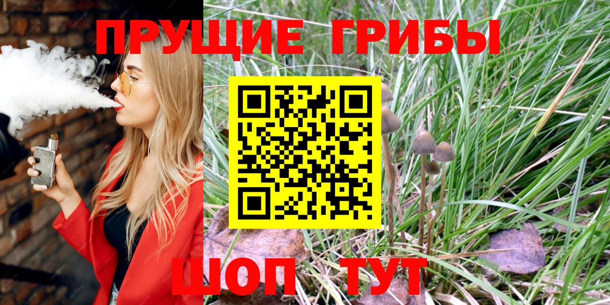 Псилоцибиновые грибы Psilocybine cubensis Ярославль